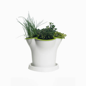 Tiered Wire Basket